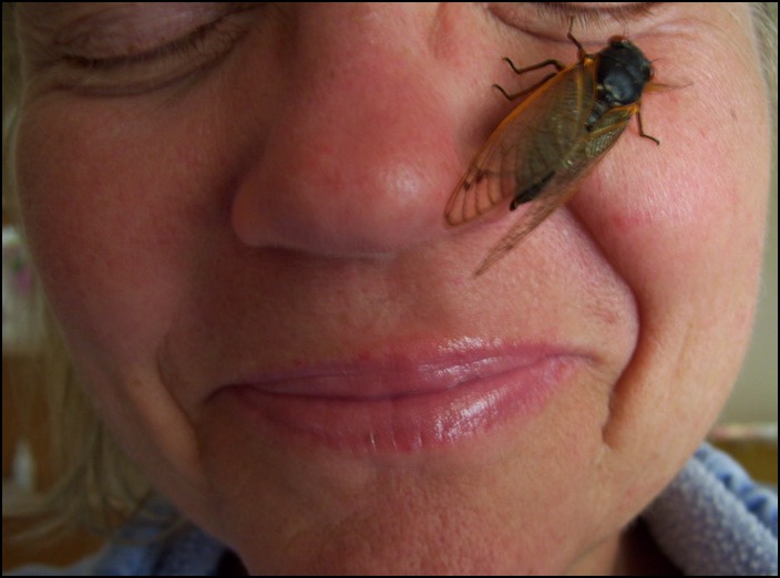 Cicada on woman's face